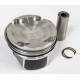 Piston for Audi A1, A3, Q2, Q3 1.5 TFSi - DADA, DFYA, DHFA, DPCA, DXDB