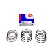 Piston Ring Set for Ford 1.5 EcoBlue