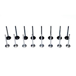 Set of Engine Valves for Kia 1.4 & 1.6 GDi / CVVT - G4FA, G4FC, G4FD