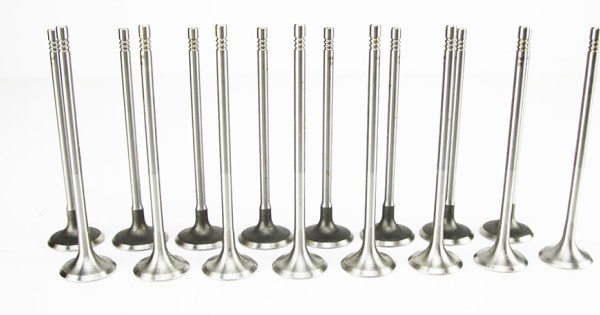 Inlet & Exhaust Valves for Opel Grandland 1.6 Turbo Hybrid - F16XHR ...