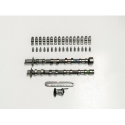 Full Camshaft Kit with Cam Chain for Citroen 2.0 BlueHDi - DW10F