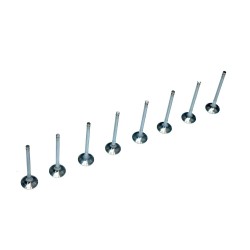 Set of 8 Exhaust Valves for Hyundai Accent, Tucson, Veloster, i20, i30, i40, ix20, ix35 1.4 & 1.6 16v