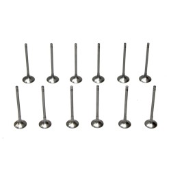 Set of 12 Inlet & Exhaust Valves for Ford 1.0 998cc Ecoboost 