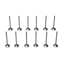 Set of 12 Engine Valves for Ford 1.0 998cc Ecoboost 