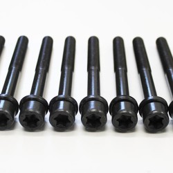 Cylinder Head Bolts for Lada 110 2.0 16v C20XE