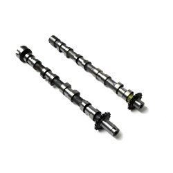 Inlet & Exhaust Camshafts For Citroen 2.2 HDi