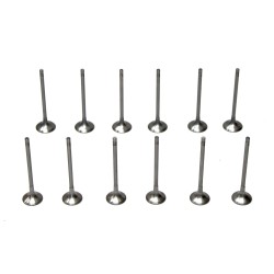 Full set of Inlet & Exhaust Valves for BMW 1.5 116d, 214d, 216d​ B37C15A & B37D15A