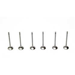 Set of 6 Exhaust Valves for BMW 1.5 116d, 214d, 216d​ B37C15A & B37D15A