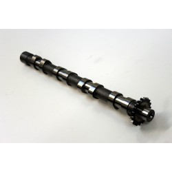 Inlet Camshaft for Ford C-Max, Focus, Galaxy, Kuga, Mondeo & S-Max 2.0 TDCi 