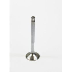 Exhaust Valve for Seat 1.9 TDi 