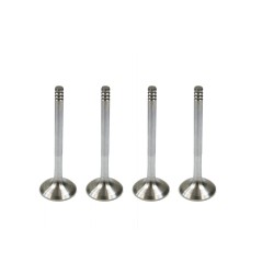 Set of 4 Exhaust Valves for Audi 1.9 TDi 