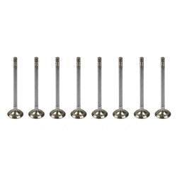 Set of 8 Exhaust Valves for Seat 1.2 12v | 1.4 & 1.6 16v TSI