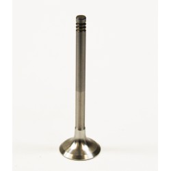 Exhaust Valve for Audi A3, A4 & A6 2.0 TDi 16v