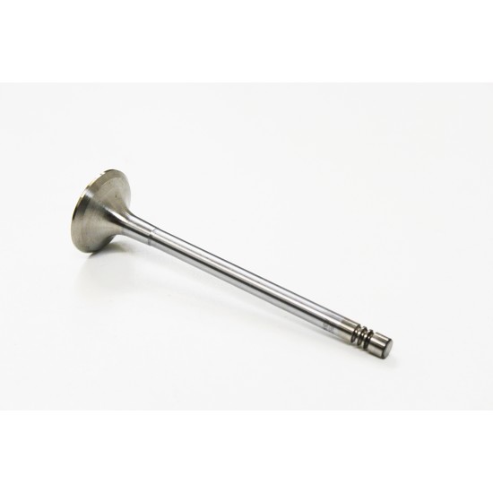 Exhaust Valve for Seat 1.8, 2.0 Petrol