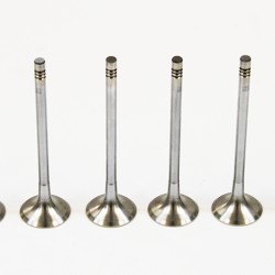 Set of 8 Exhaust Valves for Audi 1.8, 2.0 Petrol 