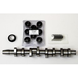 Camshaft, Hydraulic Lifters & Bearings for Audi A3, A4 & A6 1.9 TDi PD