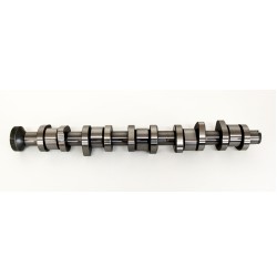 VW Volkswagen 5.0 V10 TDi AYH Camshaft  (Cyl 6-10)