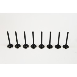 Set of 8 Inlet Valves for MG ZR, ZS, ZT, TF, MGF 1.4 / 1.6 / 1.8 16v K-Series