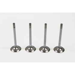 Set of 4 Inlet Valves for Audi 1.9 TDi 