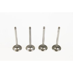 Set of 4 Inlet Valves for Bobcat 751 1.9 Skid Steer XUD9