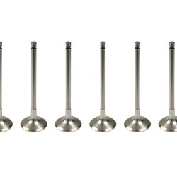 Set of 8 Inlet Valves for Citroen Berlingo, C2, C3, C4, Saxo & Xsara 1.6 16v TU5JP4