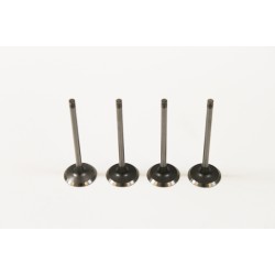 Renault 1.5 K9K DCi Set of 4 Inlet Valves