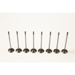 Set of 8 Inlet Valves for Alfa Romeo 147, 156, 159, Giulietta & GT 1.9 & 2.0 D Multijet / JTD