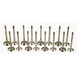 Full set of Inlet & Exhaust Valves for Audi A3, A4 & A6 2.0 TDi 16v