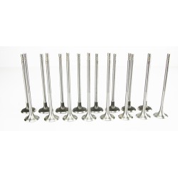 Inlet & Exhaust Valves for Peugeot 207, 208, 308, 508, 3008, 5008 & RCZ 1.6 16v THP / VTi - EP6