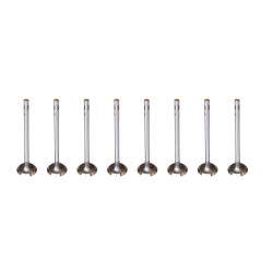 Set of 8 Inlet Valves for Nissan 2.0 & 2.3 dCi - M9R & M9T