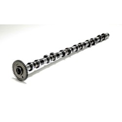 Exhaust Camshaft For BMW 325d, 330d, 430d, 525d, 530d, 730d, X3, X4, X5, X6 3.0 D N57D30