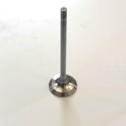 Exhaust Valve for Nissan 2.0 Petrol 