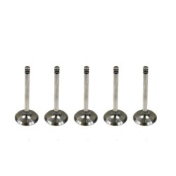 Set of 5 Inlet Valves for VW / Volkswagen Transporter 2.5 TDi 10v